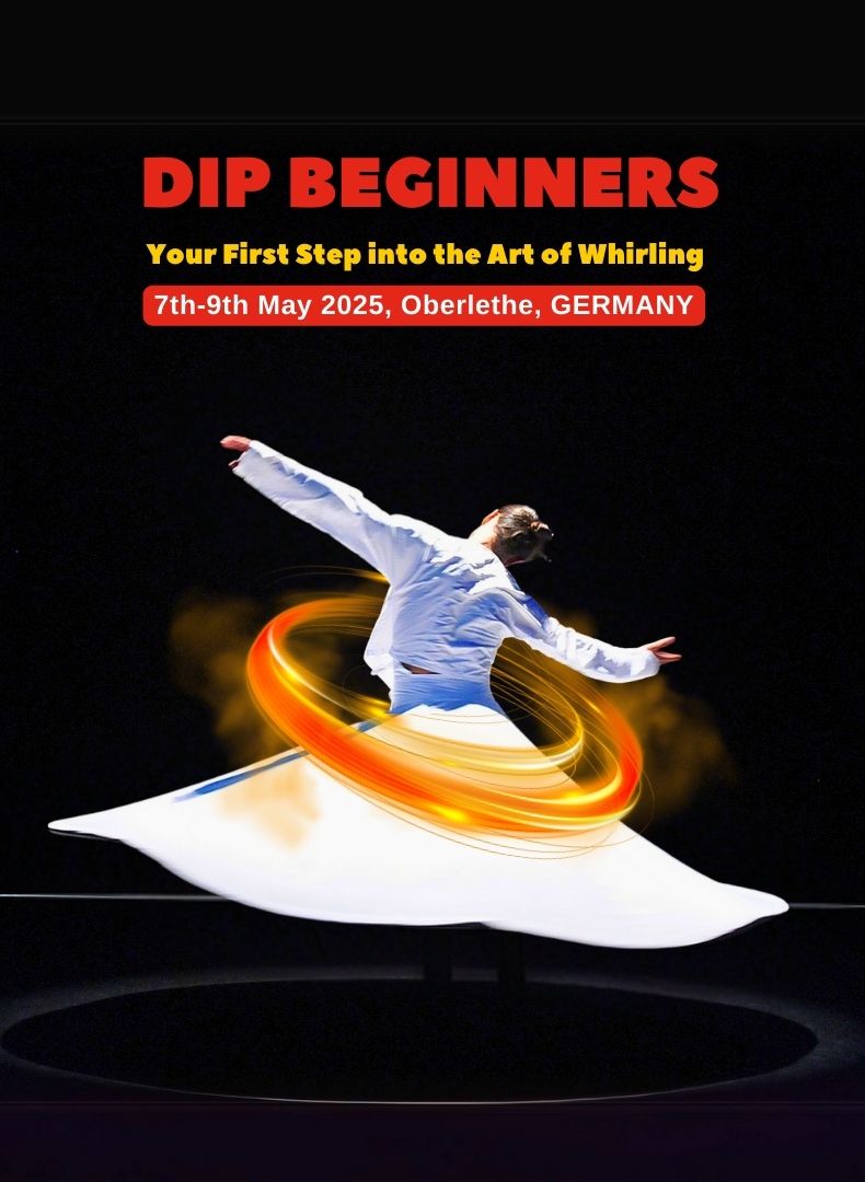 DIP Beginners Germany